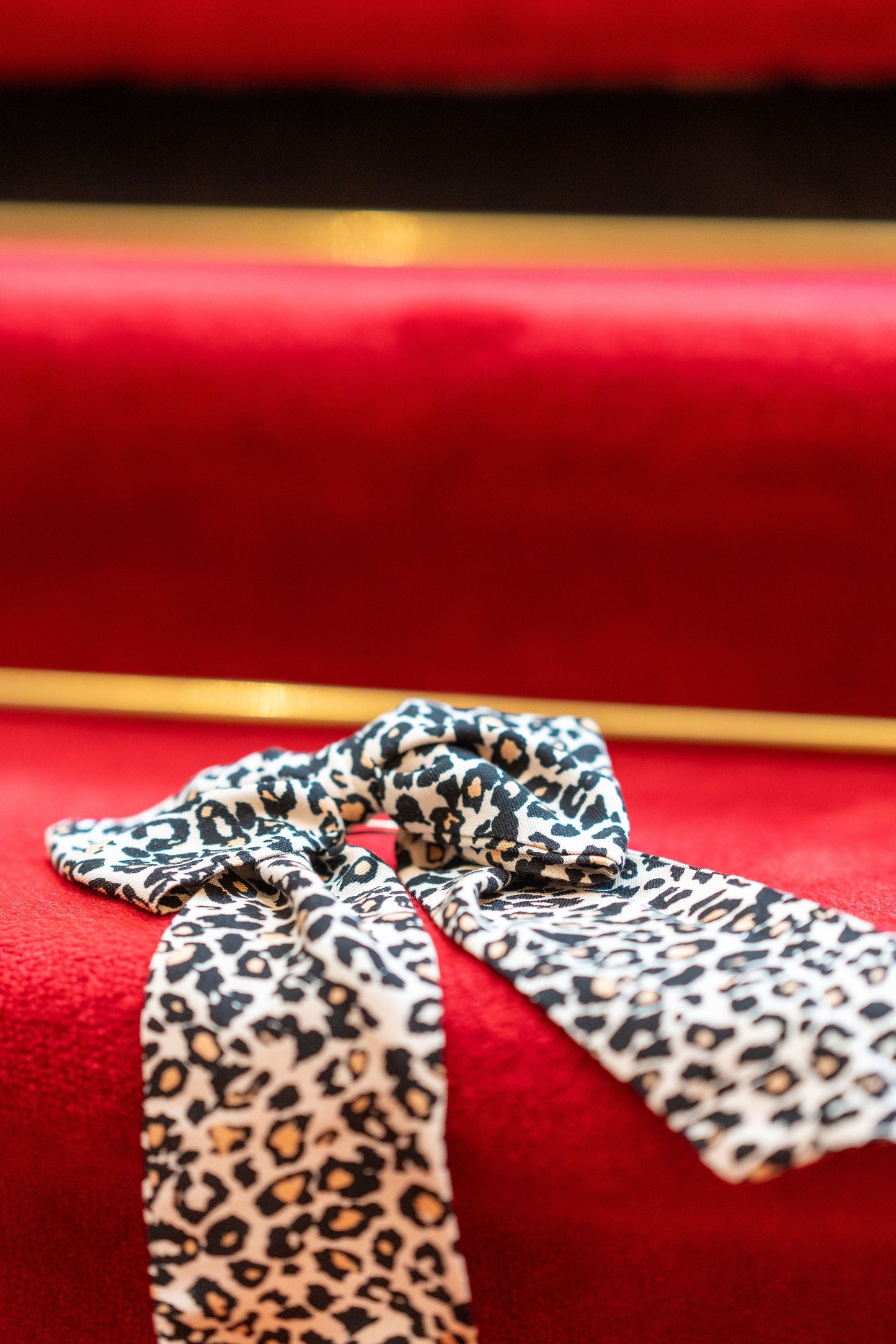 Les_grisettes_collection_noeud-bow-leopard